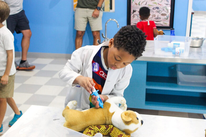 A little boy injecting a toy shot into a toy dog