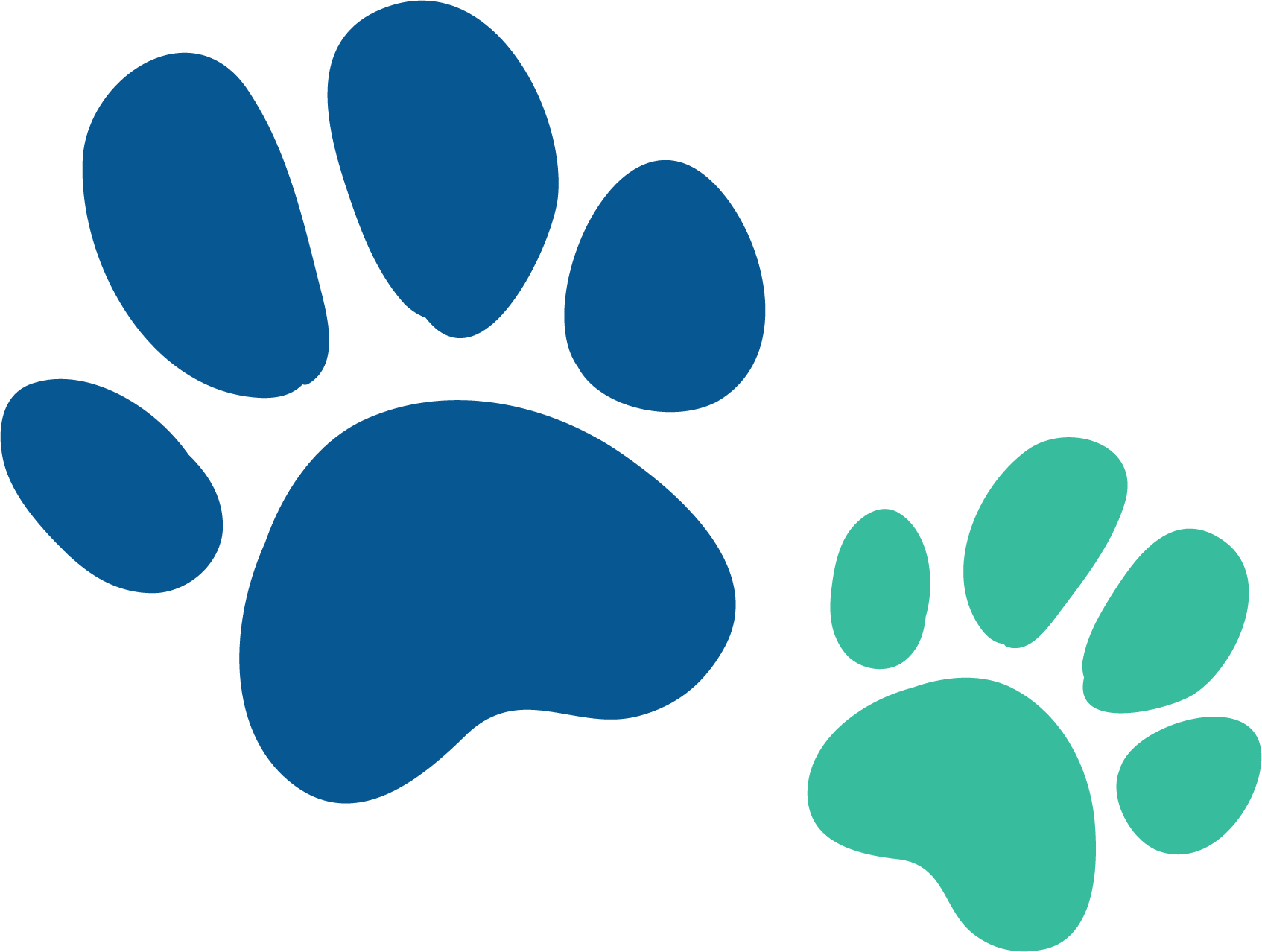 Two animated dog footprints. One is blue and the other is green.