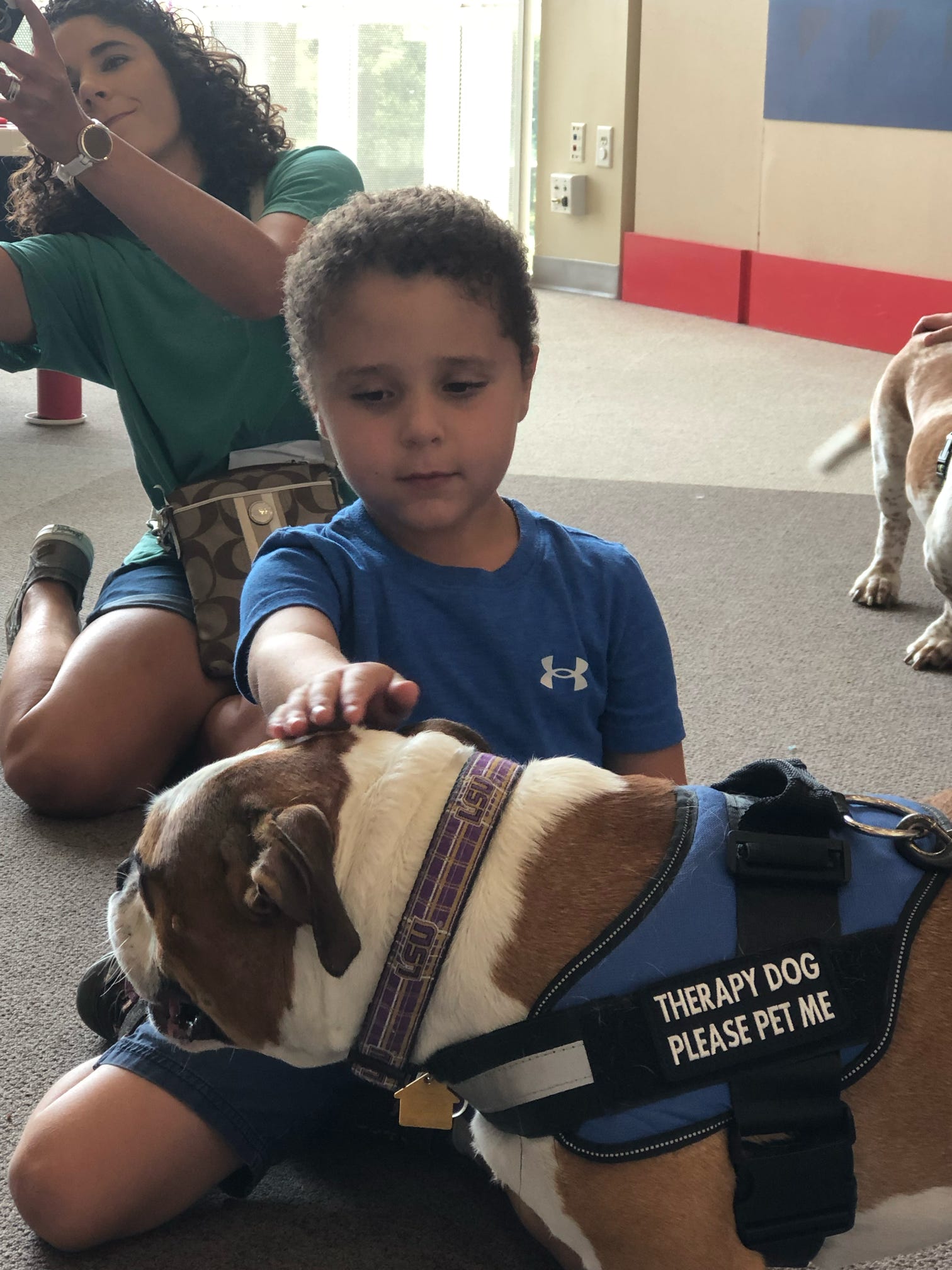 A boy in a blue shirt petting a dog with a therapy dog vest