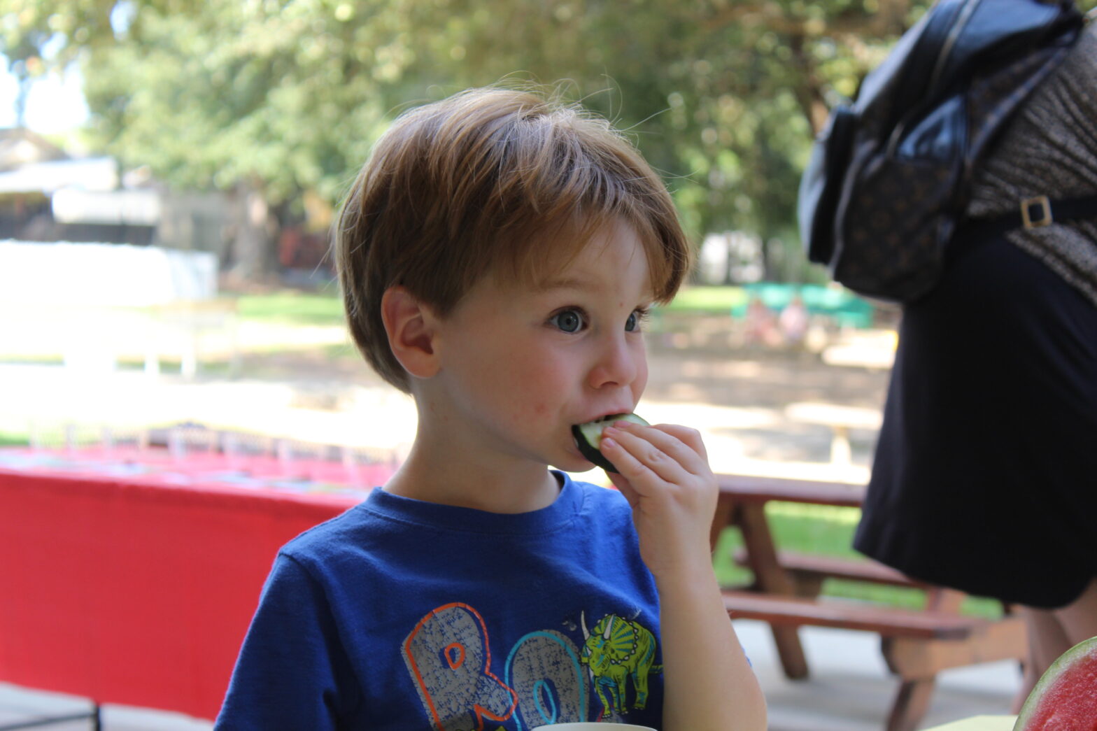 Little boy eats a cucumber