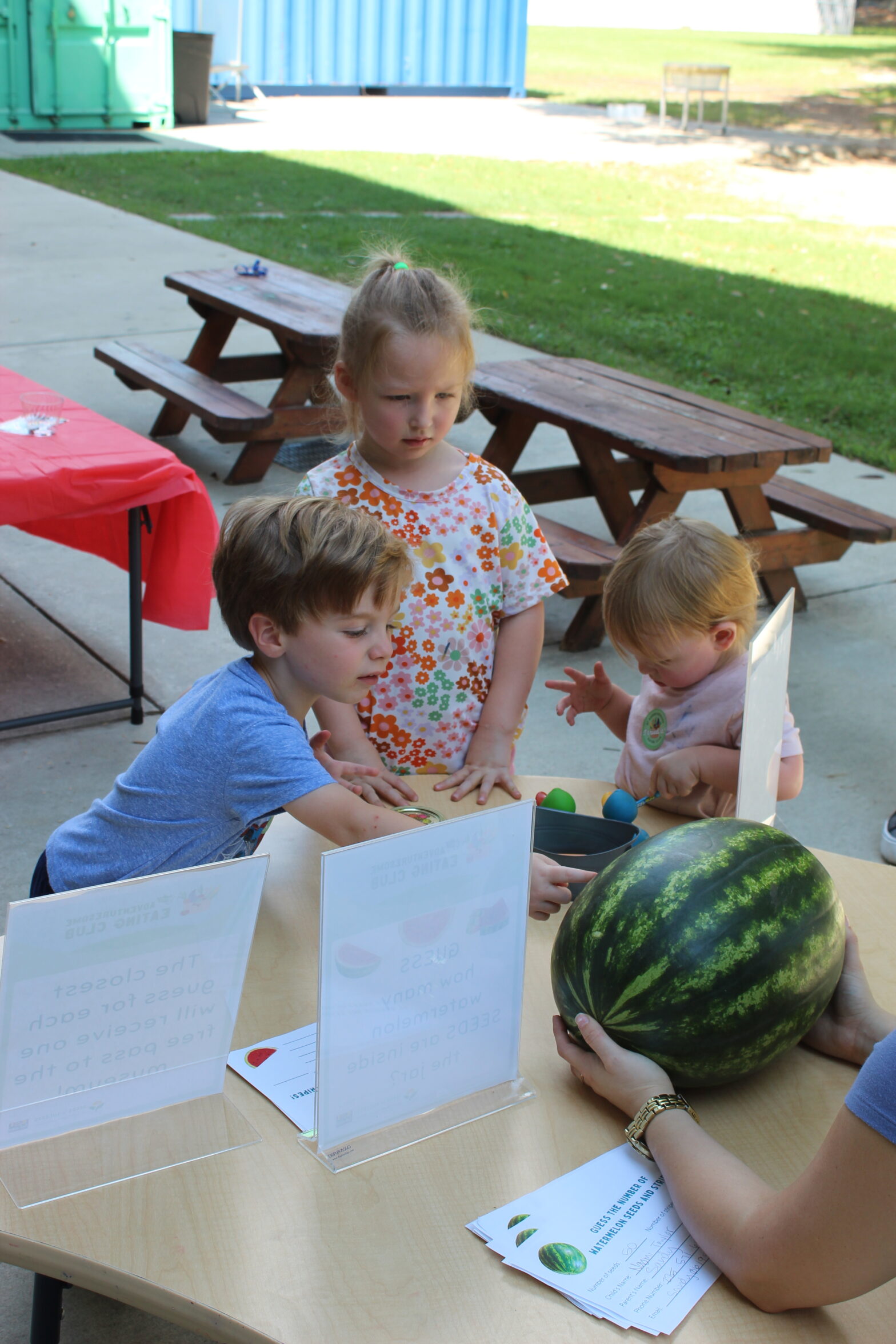 3 children gather at a table and count the stripes on a watermelon
